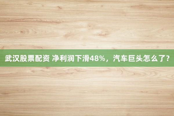 武汉股票配资 净利润下滑48%，汽车巨头怎么了？