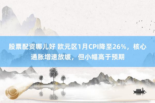 股票配资哪儿好 欧元区1月CPI降至26%，核心通胀增速放缓，但小幅高于预期