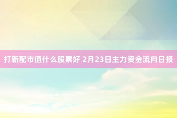 打新配市值什么股票好 2月23日主力资金流向日报